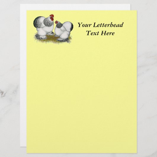 Cochins: Columbian Bantams (Front/Back)