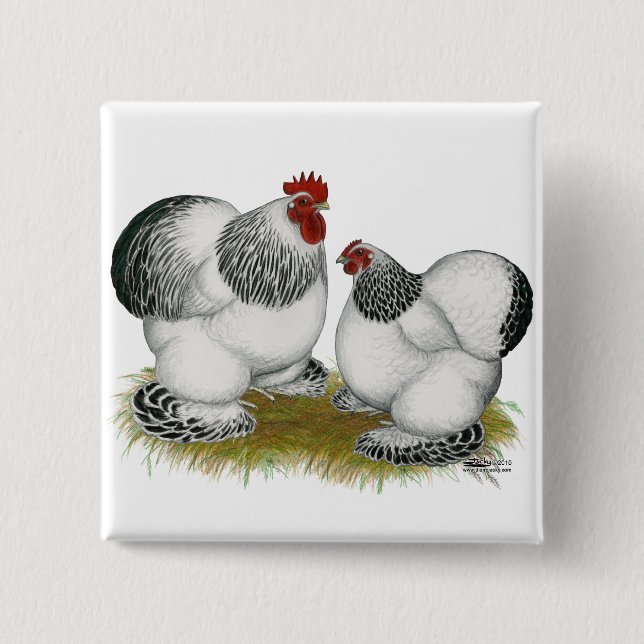 Cochins:  Columbian Bantams Pinback Button (Front)