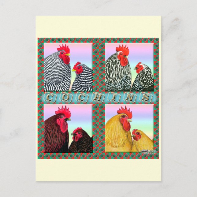 Cochins Four Colors Postcard (Front)