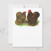 Cochins:  Golden-laced (Front)