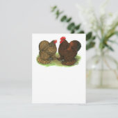 Cochins:  Golden-laced (Standing Front)