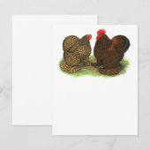 Cochins:  Golden-laced (Front/Back)