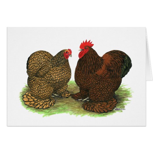 Cochins: Golden-laced Cards (Front Horizontal)