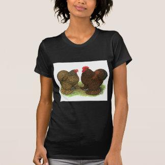 Cochins:  Golden-laced T-Shirt