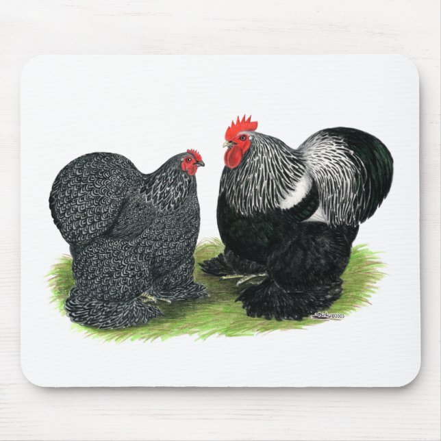 Cochins:  Silver-penciled Mouse Pad (Front)