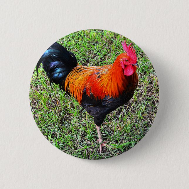 Cock-A-Doodle-Do Pinback Button (Front)