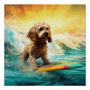 Cockapoo Beach Surfing Painting  Poster