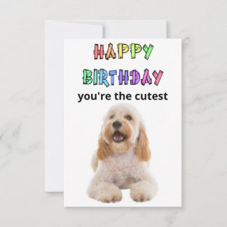 cockapoo birthday card