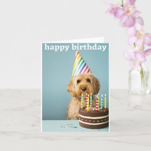 cockapoo birthday card