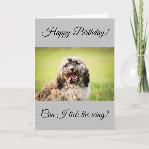 Cockapoo Birthday Card