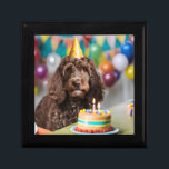 Cockapoo Birthday Party Gift Box<br><div class="desc">Funny Cockapoo gift tag for any age. It can also be for any other celebration.</div>