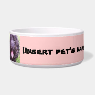 Cockapoo Bowl