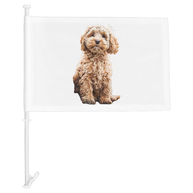 Cockapoo Cavoodle Labradoodle Cute Puppy Dog- Pood Car Flag (Front)