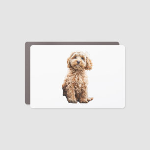 Cockapoo Cavoodle Labradoodle Cute Puppy Dog- Pood Car Magnet
