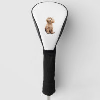 Cockapoo Cavoodle Labradoodle Cute Puppy Dog- Pood
