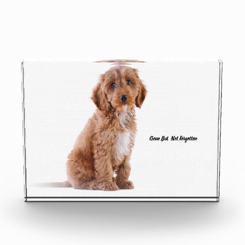 Cockapoo Dog Acrylic Award