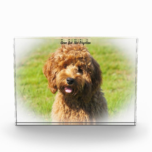 Cockapoo Dog. Acrylic Award (Front)