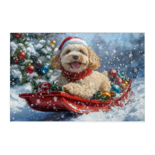 Cockapoo Dog in Sledge Let it Snow Christmas Acrylic Print