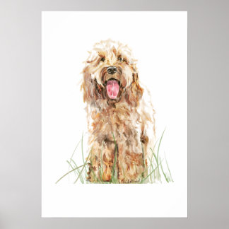 Cockapoo Dog Poster, Watercolor Wall Art