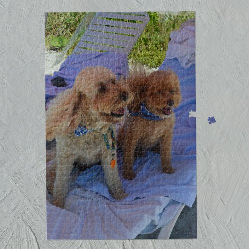 Cockapoo Dogs Tropical Beach Family Vacation Photo Jigsaw Puzzle