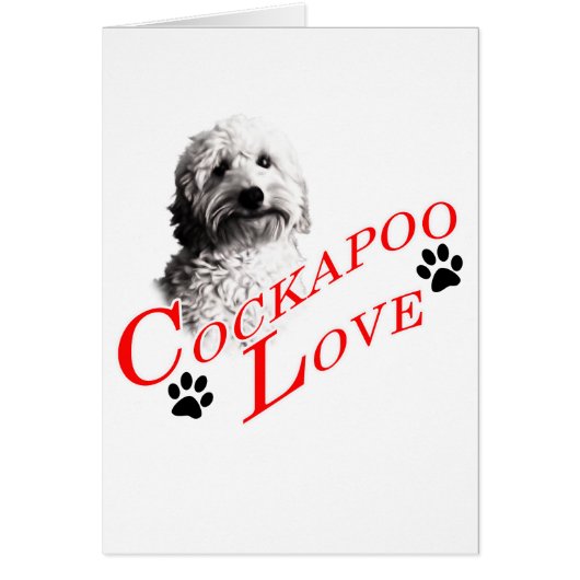Cockapoo Love Cards (Front)