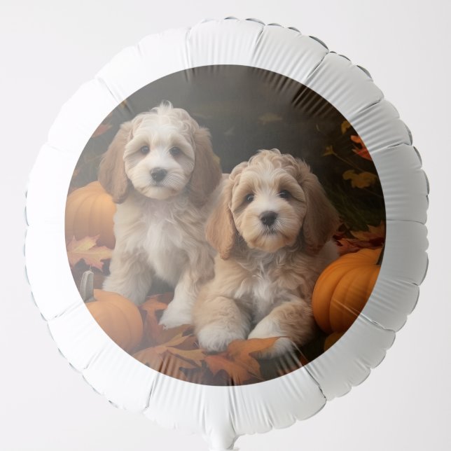 Cockapoo Puppy Autumn Delight Pumpkin  Balloon (Front)