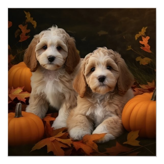 Cockapoo Puppy Autumn Delight Pumpkin  Poster (Front)