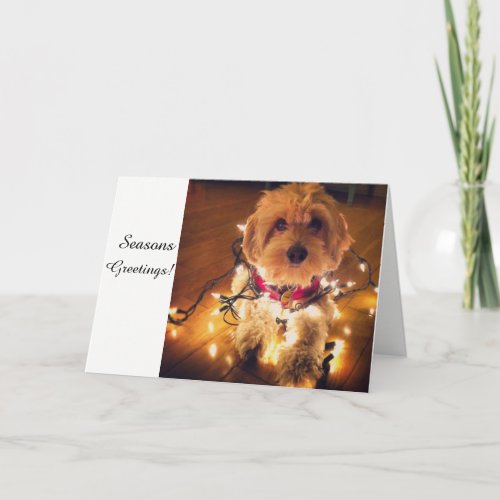 Cockapoo Puppy Christmas Card