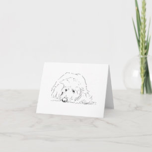 Cockapoo Puppy, Dog Lover Gift Ideas Letterpress Thank You Card