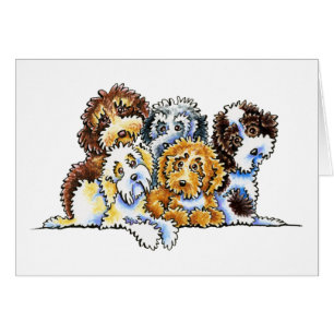 Cockapoo Rainbow Cards