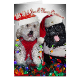 Cockapoo Christmas Cards | Zazzle