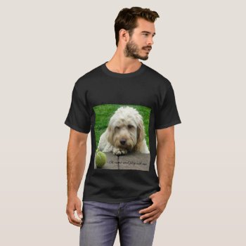 Cockapoo With Ball T-shirt by patra33 at Zazzle