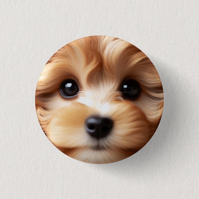 Cockapoodle Puppy Face With Big Eyes, Cute Dog Button (Front)
