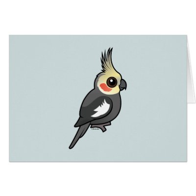 Cockatiel