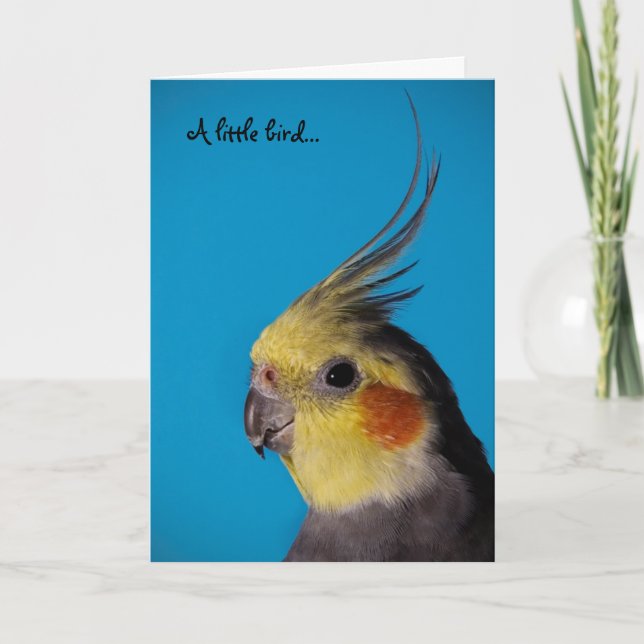 Cockatiel, A little bird... Card (Front)