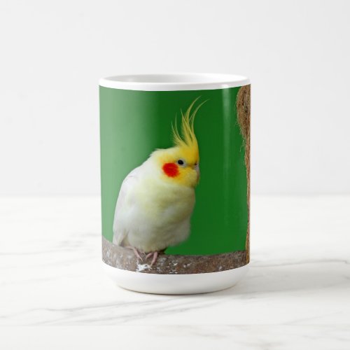 Cockatiel bird beautiful photo coffee tea mug