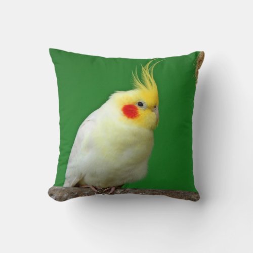 Cockatiel bird beautiful photo cushion pillow