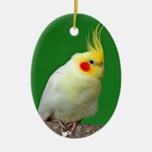 Cockatiel bird beautiful photo hanging ornament