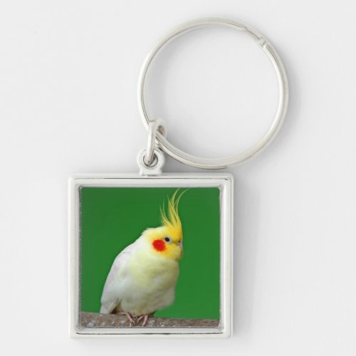 Cockatiel bird beautiful photo keyring keychain