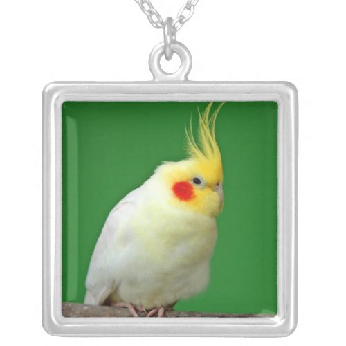 Cockatiel bird beautiful photo pendant necklace