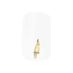 Cockatiel bird cartoon illustration minx nail art