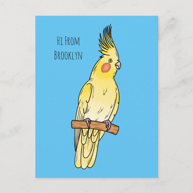 Cockatiel bird cartoon illustration  postcard (Front)