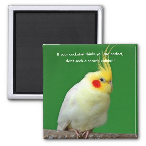 Cockatiel bird funny humour fridge magnet