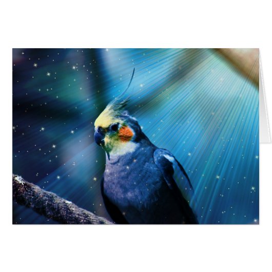 Cockatiel Cards (Front Horizontal)