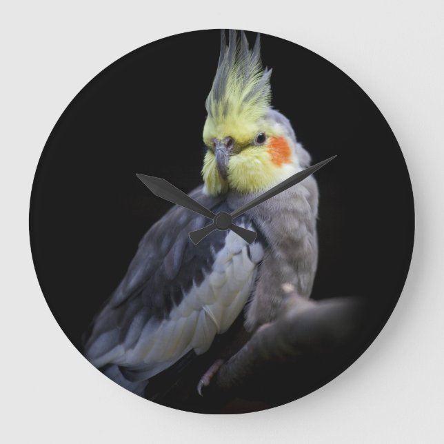 Cockatiel Clock (Front)