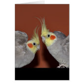 Cockatiel Duo Card (Front)