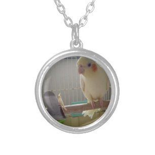 Cockatiel Fun Silver Plated Necklace