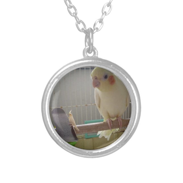 Cockatiel Fun Silver Plated Necklace (Front)