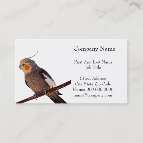 Cockatiel Gray and Yellow Pet Bird Photograph Business Card