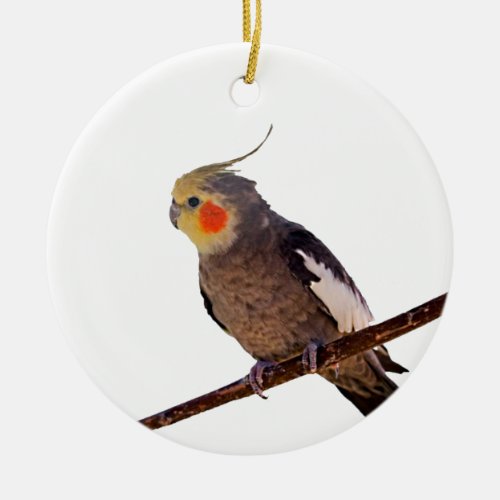 Cockatiel Gray and Yellow Pet Bird Photograph Ceramic Ornament